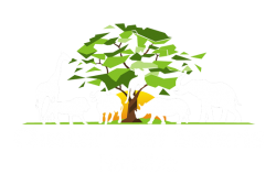 Cluster Leaf Safaris